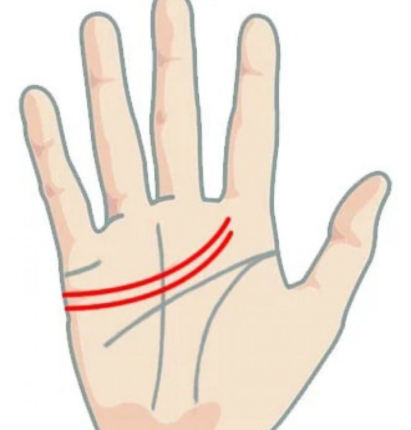 Bàn tay chứa 2 đường tình duyên song song 