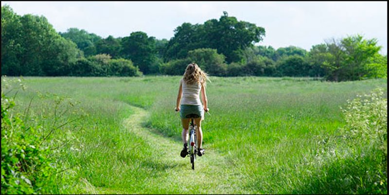 Mơ thấy chạy xe đạp ở trên cỏ là một tín hiệu cho thấy cuộc sống của bạn đang phát triển.