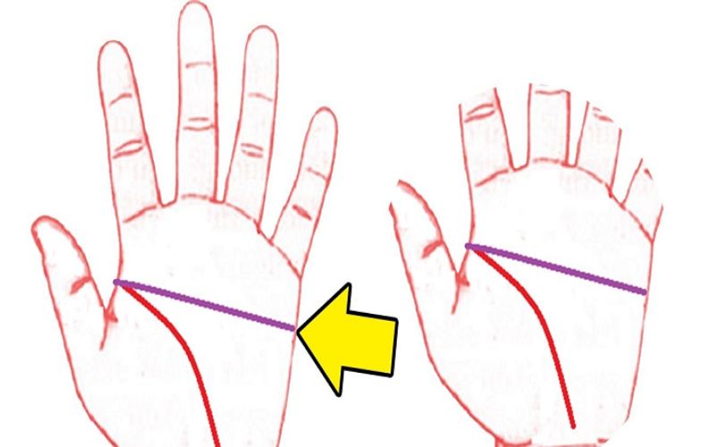 Tìm hiểu bàn tay hình chữ nhất là gì?